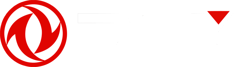 DFM-Logo
