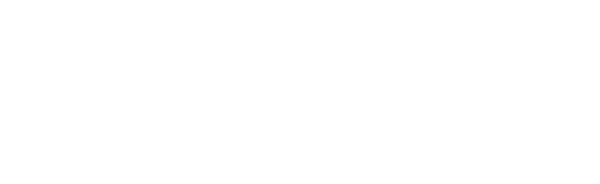 FOTON-Logo